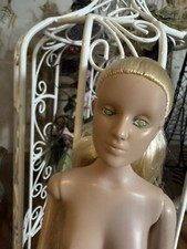 Tonner antoinette mannequin for sale  Kansas City
