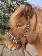 Kappzaum cob gebraucht kaufen  Thale