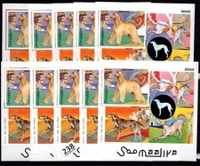 SW 10X SOMALIA - MNH - MASCOTAS - PERROS - 2003 segunda mano  Embacar hacia Mexico