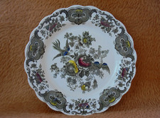 Ridgway staffordshire speisete gebraucht kaufen  Henstedt-Ulzburg