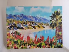 Laguna beach x24 for sale  Winchester