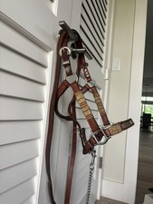 Western champion silver for sale  Kent