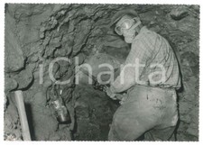 1967 alpignano cantiere usato  Milano