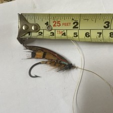 Gut eyed salmon for sale  LEOMINSTER