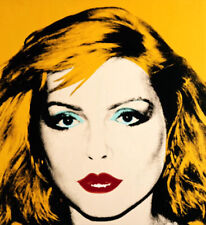 Debbie harry punk for sale  LINCOLN