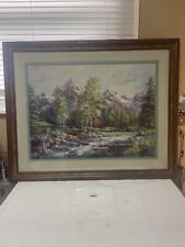 Preowned cabin mountain for sale  Hinton