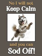 Siberian husky malamute d'occasion  Expédié en Belgium