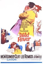 Wild river 1080p for sale  Dyer