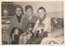 divano cane usato divano cane usato Ticengo