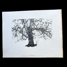 Andrew wyeth art for sale  Buckfield