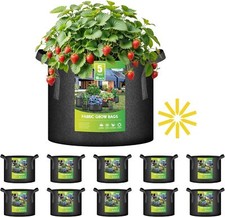 Ipower pack gallon for sale  New York