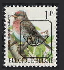 Belgium redpoll bird d'occasion  Expédié en Belgium