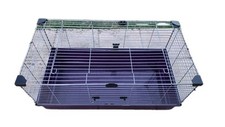 Indoor guinea pig for sale  ROMSEY
