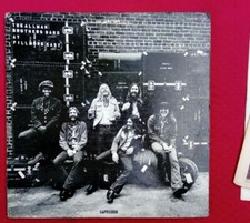 Vinile the allman usato  Italia