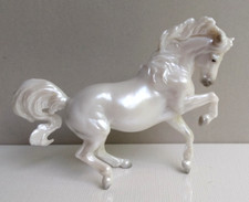 connemara pony for sale connemara pony for sale Longmont