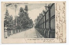 PORTUGAL COIMBRA Avenida lateral do jardim botanico comprar usado  Enviando para Brazil