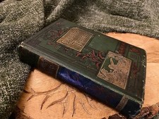 Rare antiquarian gullivers for sale  DUNBAR