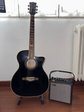 Chitarra eko ntx usato  Pisa