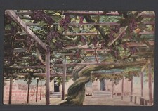 1912 postcard largest for sale  New London