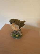 Small robin pretty for sale  IPSWICH