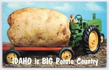 Idaho big potato for sale  Spring