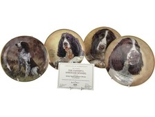Danbury mint collector for sale  CHICHESTER