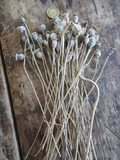 Floral Crafts for sale  HEREFORD