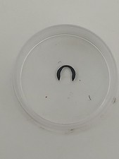 Rolex 2135 645 usato Rolex 2135 645 usato  Spilimbergo