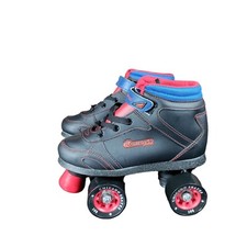 Chicago skates quad for sale  Clinton