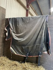 premier equine for sale  MARKET RASEN