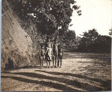 Ceylan kandy enfants d'occasion  Pagny-sur-Moselle