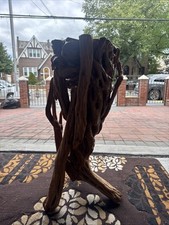 Varnished driftwood root for sale  Middle Village