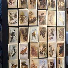 Grandee cigar cards for sale  SOUTHAMPTON