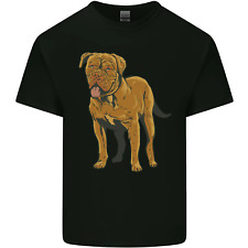 French mastiff dogue for sale  COVENTRY