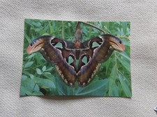 Postkarte alt giant gebraucht kaufen  Deutschland