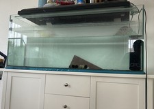 Aquarium 240 liter gebraucht kaufen  Crailsheim