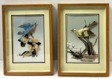 Vintage feather art for sale  Peru