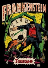 Frankenstein 16 gebraucht kaufen  Deutschland