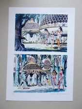 Milo manara ruche d'occasion  Coudes