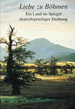 Böhmen land spiegel gebraucht kaufen  Buttenwiesen