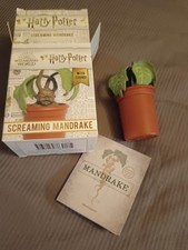 mandrakes for sale mandrakes for sale COLCHESTER