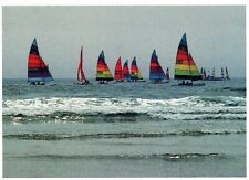 Hobie cat regattas for sale  Warminster