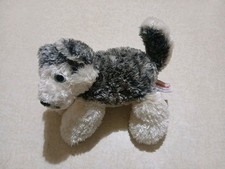 Aurora plush husky for sale  San Antonio
