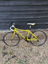 Carrera tdf limited for sale  HOOK