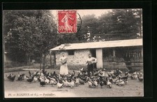 Old postcard bligny d'occasion  Expédié en Belgium