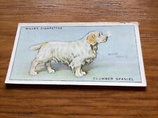Wills dogs 32 for sale  NEWBURY