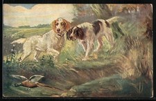 Jagdeinladung jagdhunde fasan gebraucht kaufen  Berlin