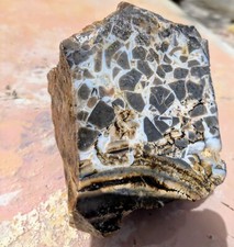 Septarian stone lightning for sale  Joshua Tree