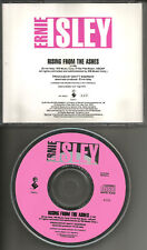 ERNIE ISLEY Brothers Rising from the Ashes PROMO Radio DJ CD Single 1990 USA comprar usado  Enviando para Brazil