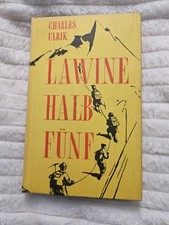 Lawine halb buch gebraucht kaufen  Lehrte